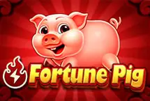 Fortune Pig