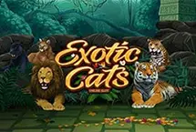 Exotic Cats