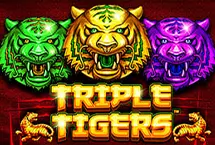 Triple Tigers